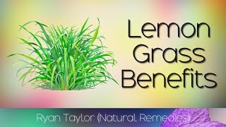 Lemongrass Benefits and Uses [upl. by Leland]