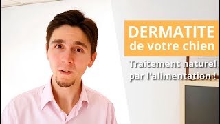 Dermatite atopique du chien  traitement naturel pour sortir de ce CERCLE VICIEUX [upl. by Grindlay951]