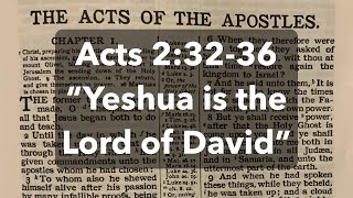 Acts 23236 “Yeshua is the Lord of David” [upl. by Ahsit956]