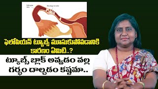 Infertility is Caused by This Fallopian Tube Blocked  Dr Madhuri VardhanVardhan Ayurveda [upl. by Inaffyt245]