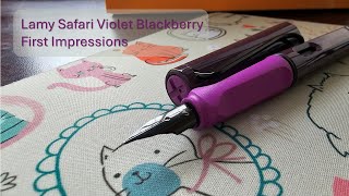 Lamy Safari Violet Blackberry First Impressions [upl. by Fusuy791]