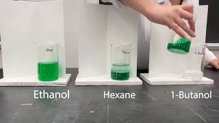 practicals chemistry 9th 610 miscible liquids dissolve in each other and immiscible liquids do not [upl. by Anitel]