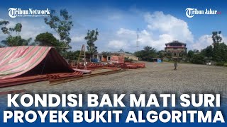 Bak Mati Suri Kondisi Proyek Bukit Algoritma Pimpinan Budiman Sudjatmiko [upl. by Pare470]