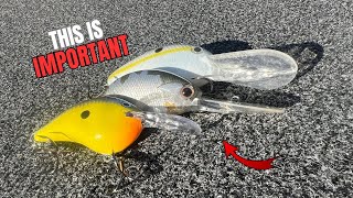 Crankbait TIPS Everyone Should Know [upl. by Atsirtal]