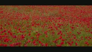 Willie Mcbride  Green Fields Of France [upl. by Akenet573]