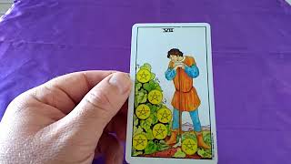 Seven of pentacles Tarot card meaning [upl. by Noislla651]