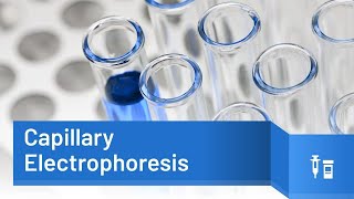 Capillary Electrophoresis Principle and applications [upl. by Nnylorac]