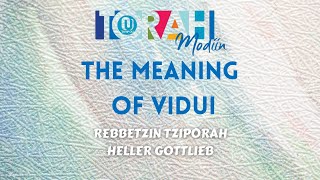 The Meaning of Vidui  Rebbetzin Tziporah Heller Gottlieb [upl. by Junna]