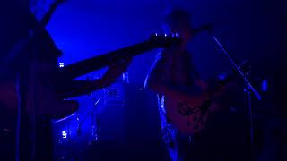 Hippo Campus Warm Glow LIVE at The High Dive [upl. by Taro]