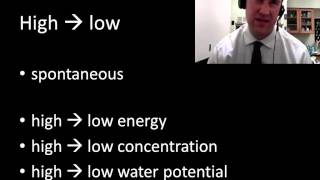 Energy chemistry review part 1  2 [upl. by Aracahs]