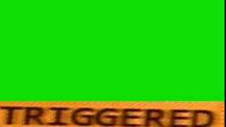 Triggered Video Effect Green Screen With Sound NO COPYRIGHT [upl. by Ecyarg850]