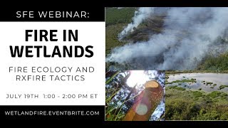 SFE Webinar Fire in Wetlands  Fire Ecology and Prescribed Fire Tactics [upl. by Ellened195]