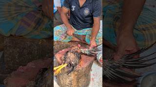 Amazing Special Desi Chicken Cutting Skills In Bangladesh Chicken Market 😱 shorts [upl. by Kendal]