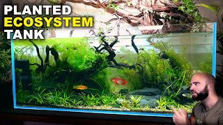 Aquascape Tutorial EPIC 4ft NO WATER CHANGE Ecosystem Aquarium How To Step By Step Guide [upl. by Iorgos]