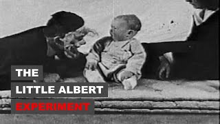 The Little Albert Experiment [upl. by Noeled591]