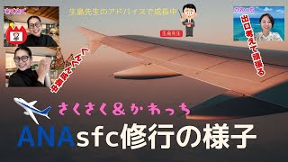 第11回 ANA SFC修行中！5月から始めて、もう少しで○○！！初心者からのSFC修行成長しています。 [upl. by Hsejar]