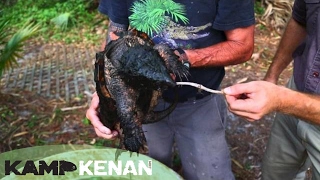 Dangerous Snapping Turtles Kamp Kenan S2 Episode 12 [upl. by Camden]