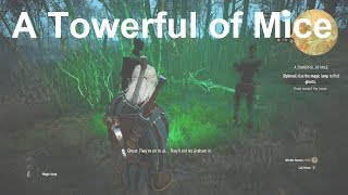 Use the Magic Lamp to Find Ghosts  A Towerful of Mice  The Witcher 3 Wild Hunt [upl. by Nilra]