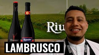 LAMBRUSCO 🍷🇮🇹  RESEÑA [upl. by Heida]