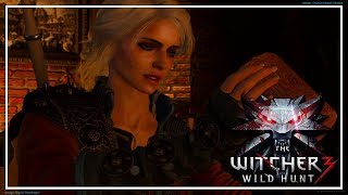 The Witcher 3  Parte 3  Assuntos de Família [upl. by Selwyn]