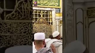 Naseeba khol de Mara  Naat Sharif  Qurani Channel  learn Quran [upl. by Dareen]