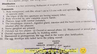 doloilum classification habitat and comments zoology practical bsccomments on doliolum [upl. by Boffa]