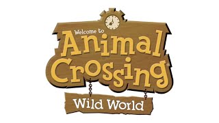 11 PM  Animal Crossing Wild World Soundtrack [upl. by Svetlana]