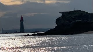 saintmalo rencontre avec les dauphins 🐬 [upl. by Schaeffer84]