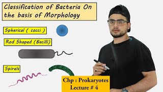 Classification of bacteria on the basis of Morphology  Shapes of bacteria [upl. by Garlaand]