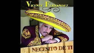 Vicente Fernández  Camino Al Cielo Cover Audio [upl. by Atinid]