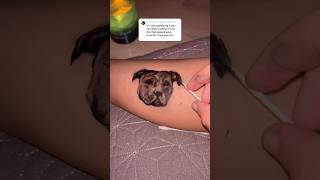 Pittbull eyeliner tattoo 💐❤️🐕 art shorts godbless [upl. by Tloc140]