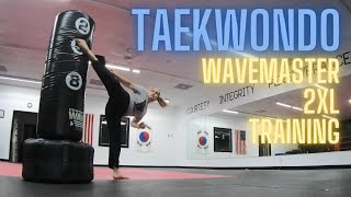 Taekwondo Wavemaster 2XL Training [upl. by Niuqaoj140]