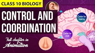 Control and Coordination Class 10 Full Chapter Animation  Class 10 Science NCERT Chapter 7  CBSE [upl. by Gracia621]