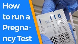 How to run a Pregnancy Test [upl. by Eniotna141]