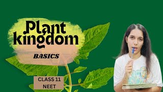 taxonomy  plant kingdom class 11 NEET [upl. by Eyt]