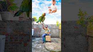 Flying crying babies Catching vs frog parrot amp goat vs yellow lizard  Funny vfx magic 😄 [upl. by Malachi507]