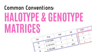 Haplotype and Genotype Matrices  Common Conventions [upl. by Maible422]