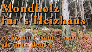 Mondholz für´s Heizhaus  oder  manchmal kommt es anders als man denkt [upl. by Devine]