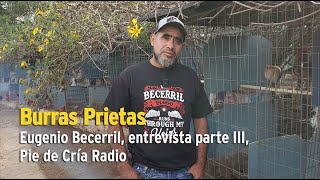 Eugenio Becerril Burras Prietas entrevista parte III Pie de Cría oficial [upl. by Nnahtebazile340]