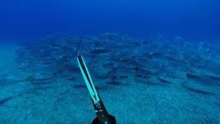 Spearfishing for Mulloway  Jewfish on coastal headlands [upl. by Patric40]