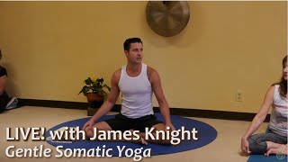 Gentle Somatic Yoga LIVE with James Knight ERYT c1 [upl. by Aiden715]