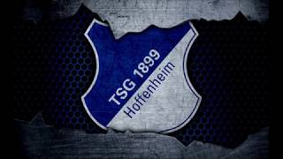 TSG 1899 Hoffenheim Torhymne 202425 [upl. by Aiem19]