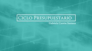 7 Ciclo Presupuestario [upl. by Libyc613]