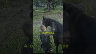 RDR2 Oyunundaki En İyi Atlar shorts [upl. by Camarata605]