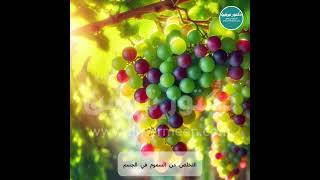 فوائد العنب مفاجأة عنبه🍇 عنبه عنب العنب [upl. by Rahab920]