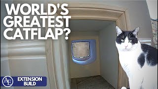 IS THIS THE WORLDS GREATEST CATFLAP  Building an Extension 12  Build with AampE [upl. by Mcclish]