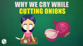 Why we Cry 😭 while cutting Onions 🧅  Science  Physics Wallah Shorts [upl. by Enaek]