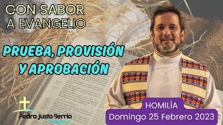 Prueba provisión y aprobación  Padre Pedro Justo Berrío [upl. by Ladnek]