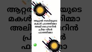 aattal nabiyude makal fathimma  song music islamicsong [upl. by Artapoelc]