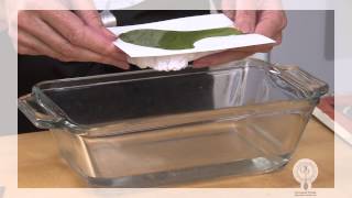 Broccoli Puree Cooking Tutorial  Gourmet Pureé Foods [upl. by Lydie542]